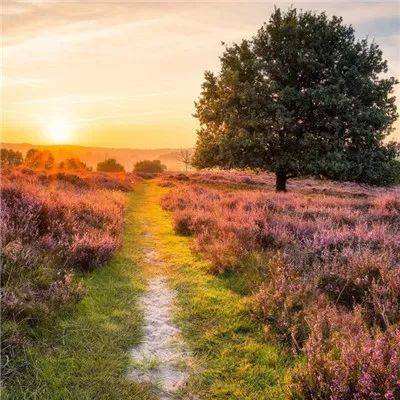 m6米乐网页版登录入口手机app下载